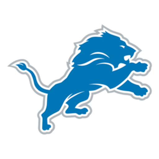 DETROIT LIONS